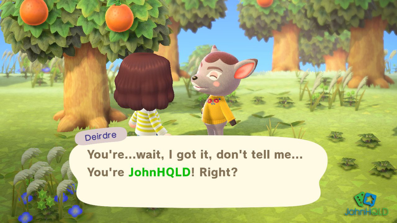 Review - Animal Crossing New Horizons - Meeting Deirdre