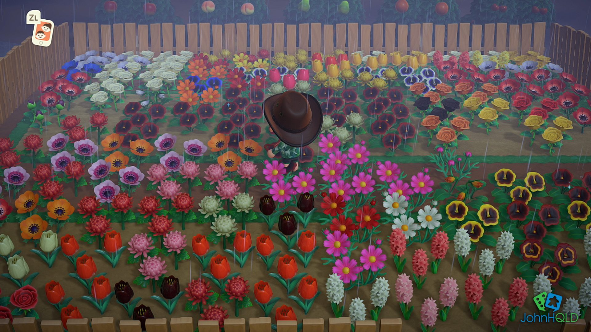 20220207 - Animal Crossing New Horizons - Still need to clean my flowers