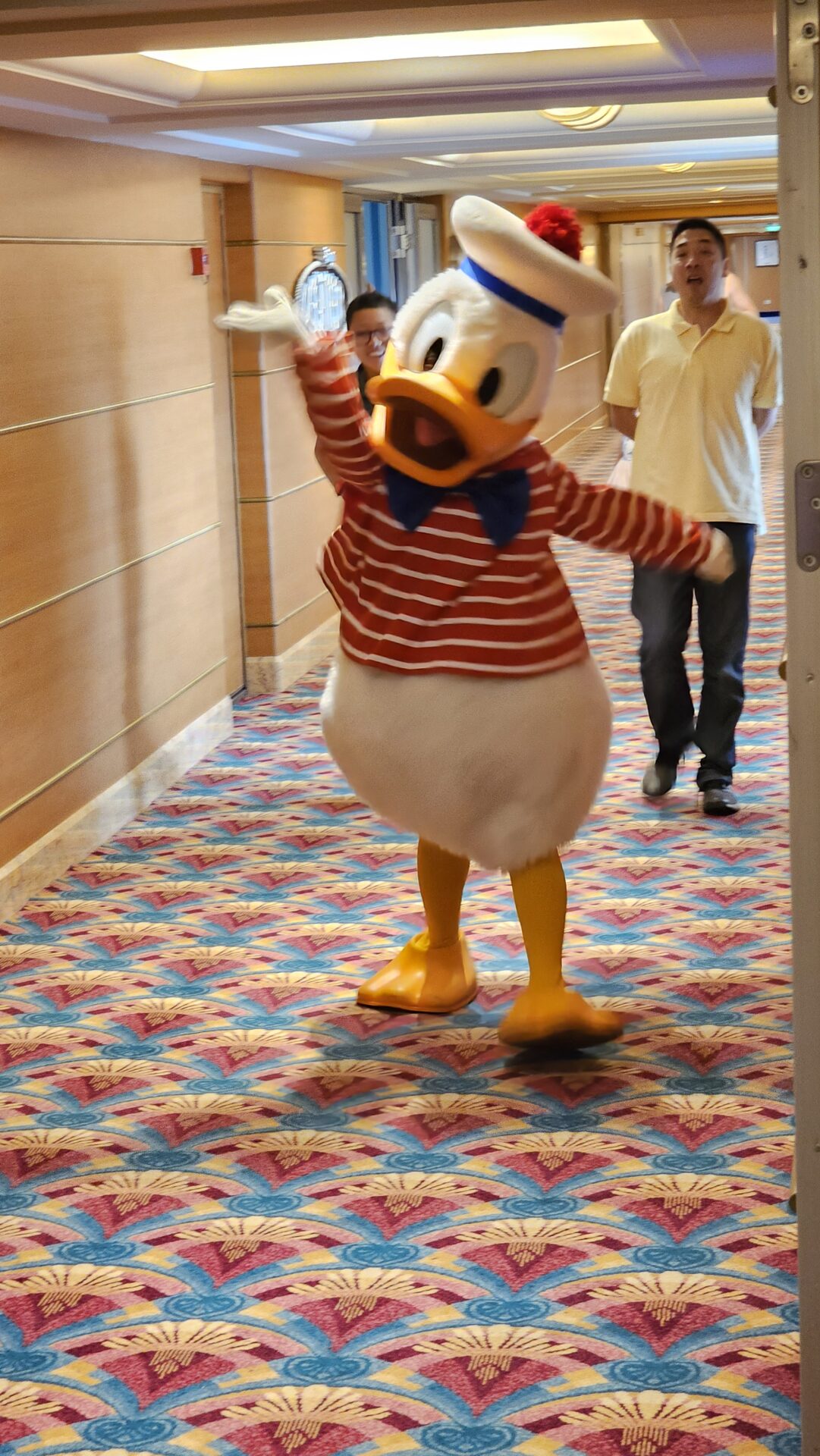 Donald Duck on way to Meet and Greet